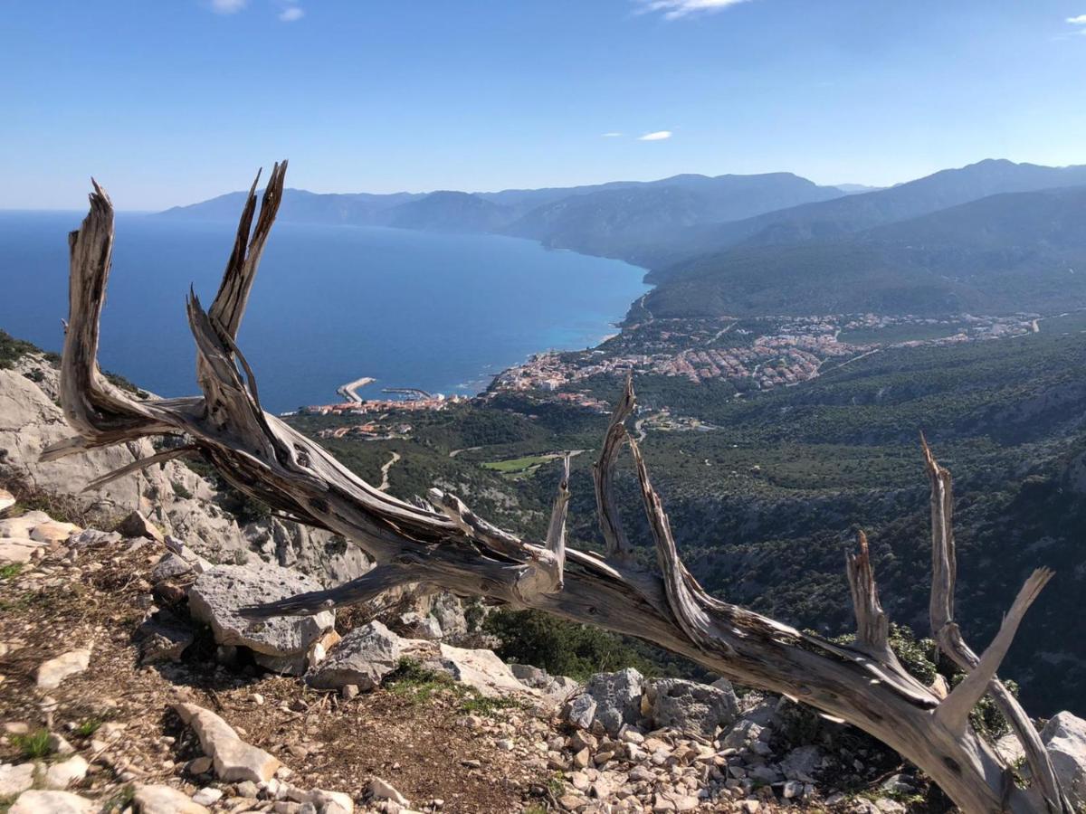 Appartamento Meduse Cala Gonone Esterno foto